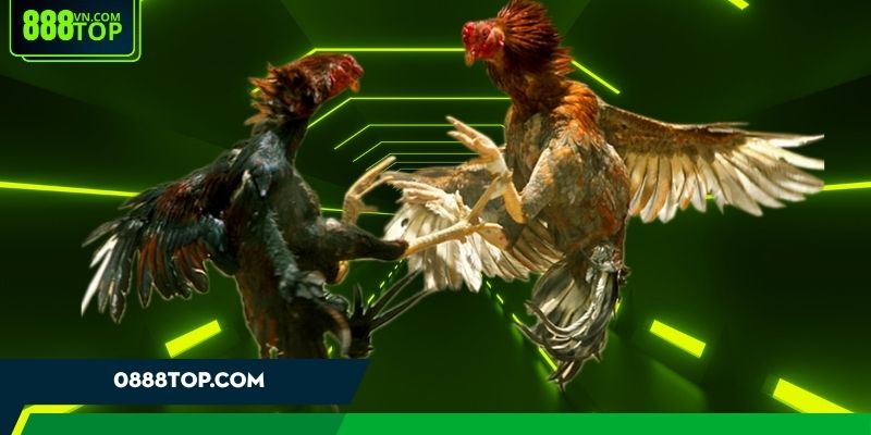 3 cửa cược phổ biến tại trận đấu 3 cửa cược phổ biến tại trận đấu