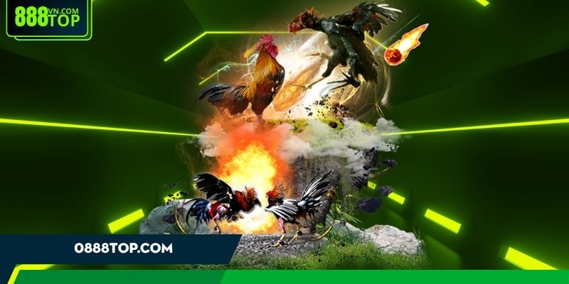 Cách xem màu mạng đá gà dựa vào kinh nghiệm thực tế Cách xem màu mạng đá gà dựa vào kinh nghiệm thực tế