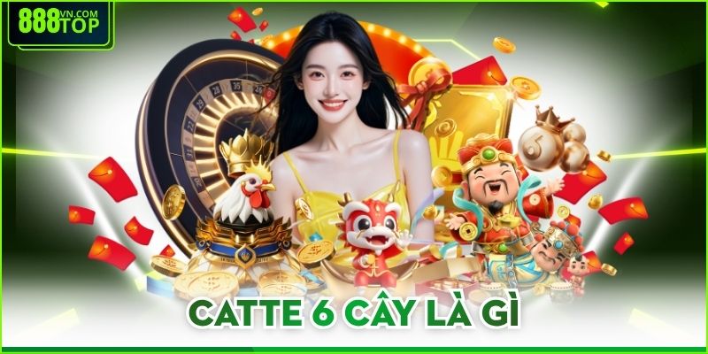 Catte 6 Cây Là Gì