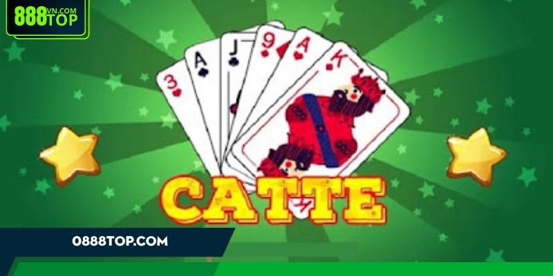 Khái niệm catte 6 cây là gì Khái niệm catte 6 cây là gì