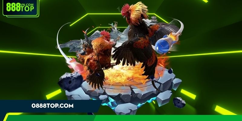 Nắm rõ các từ chuyên ngành trong đấu trường