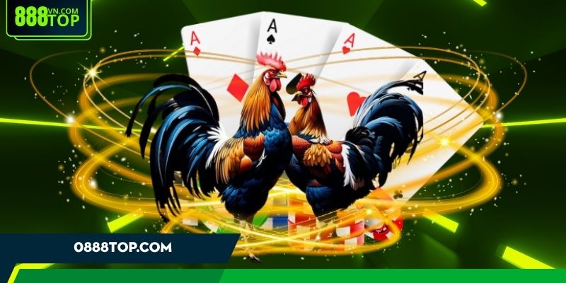 Sảnh cược có tỷ lệ kèo minh bạch