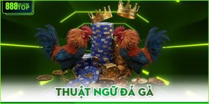 Thuật Ngữ Đá Gà