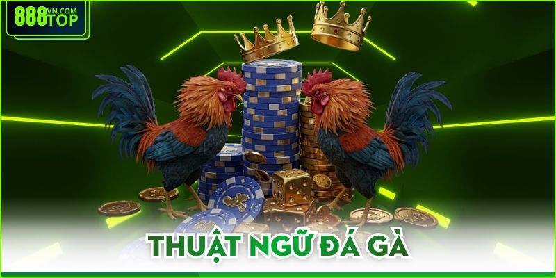 Thuật Ngữ Đá Gà